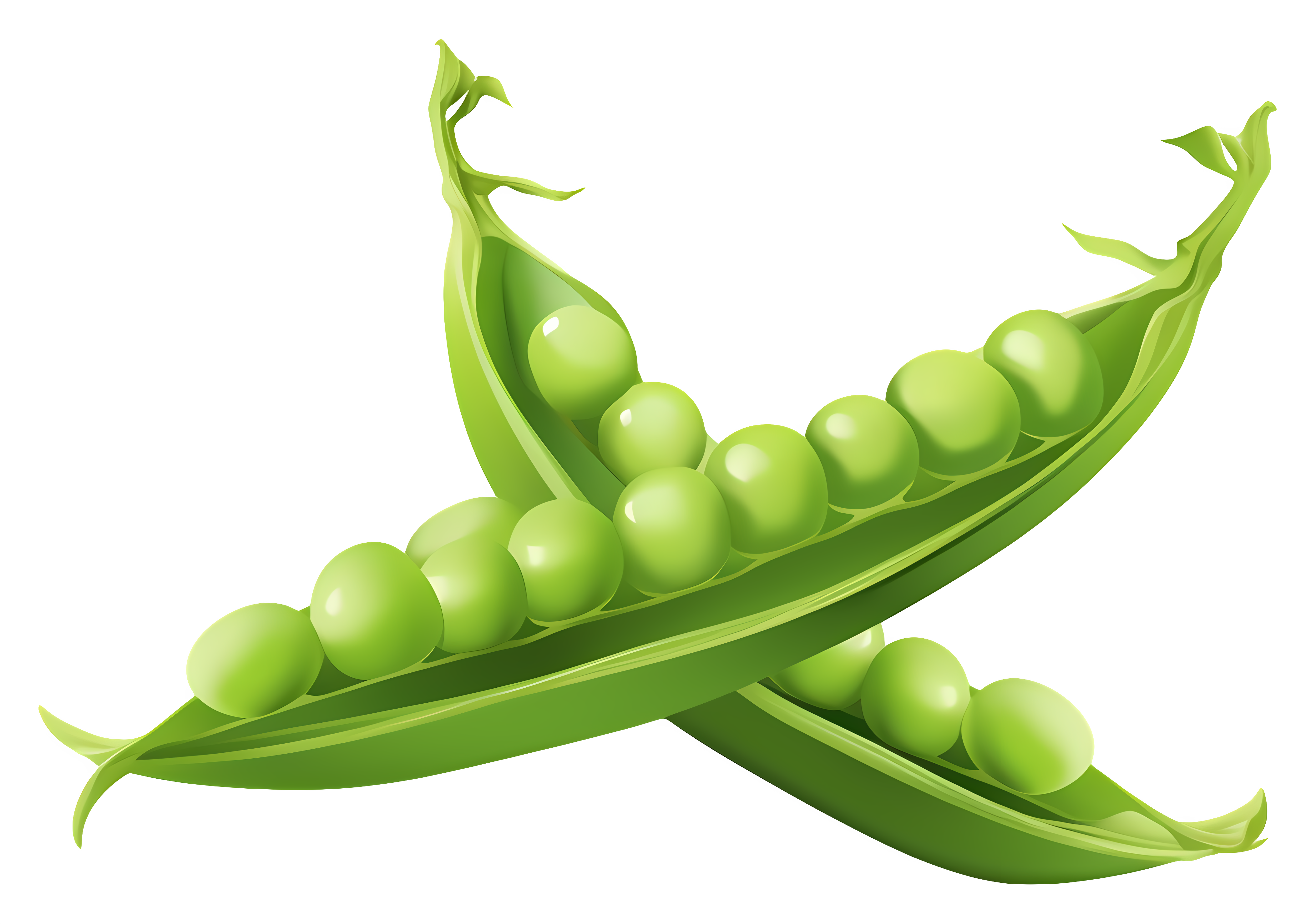 Green Peas