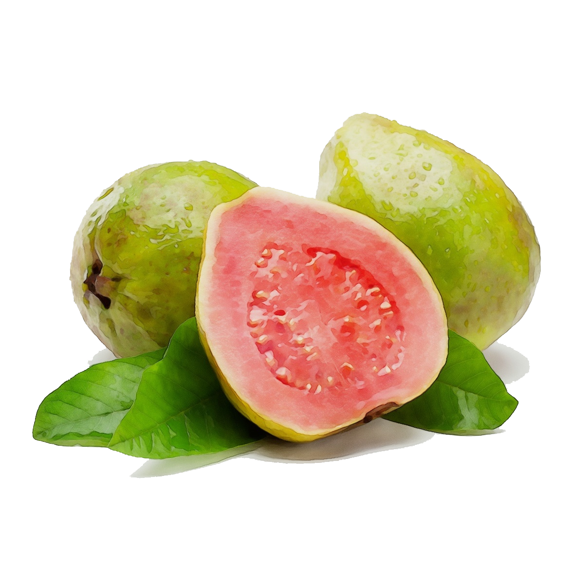 Red Guava