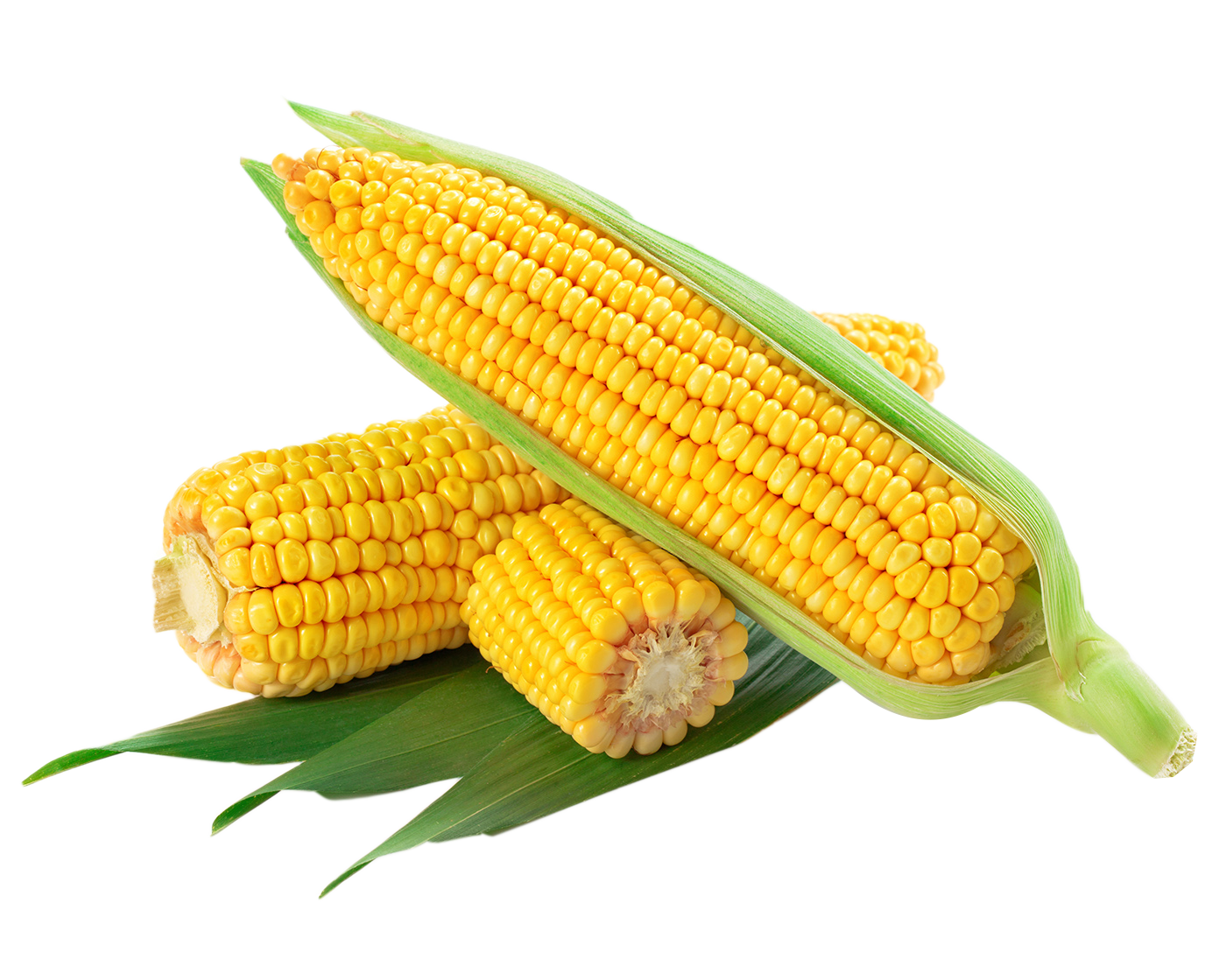 Sweet Corn